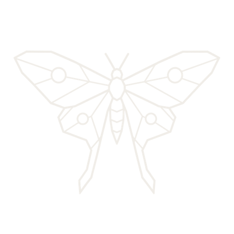 actias luna — one of the moths you can collect