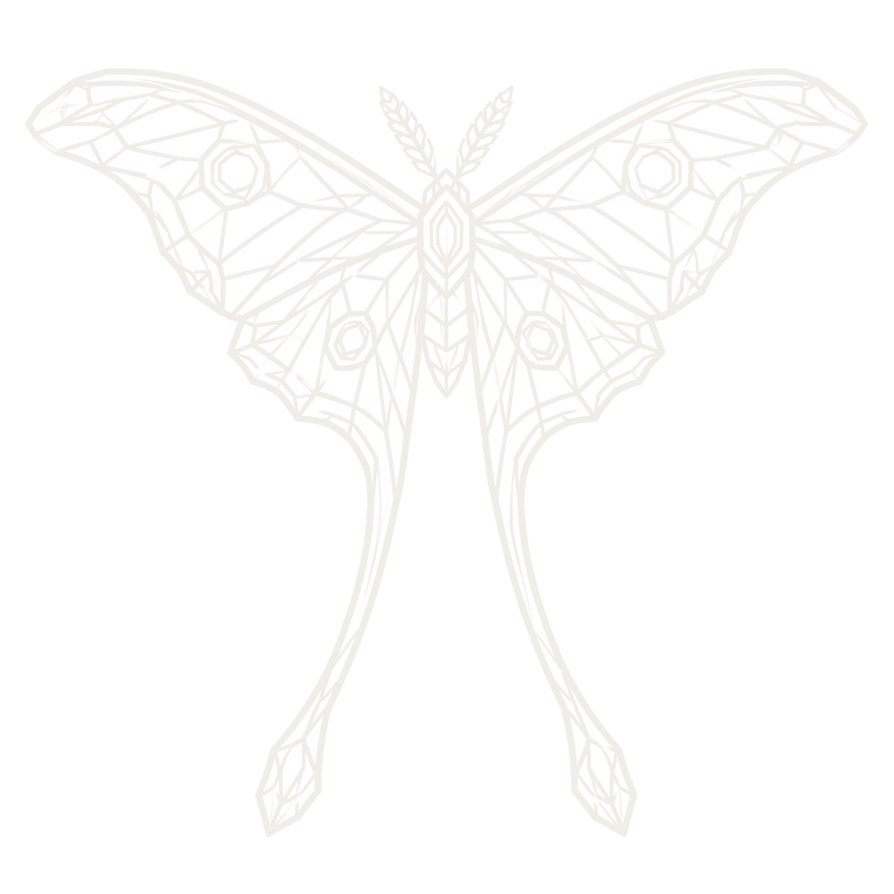 argema mittrei